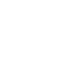 Window icon